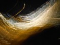 /album/galleria-fotografica/dscn7360-picc-jpg/